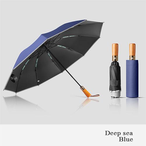 10 Bone Automatic Sun and Rain Umbrella