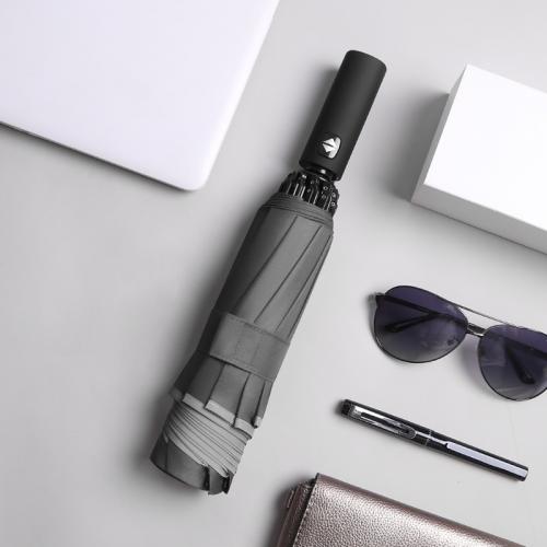 10 Bone Automatic Sun And Rain Umbrella